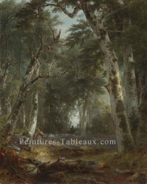  woods - Dans les bois paysage Asher Brown Durand